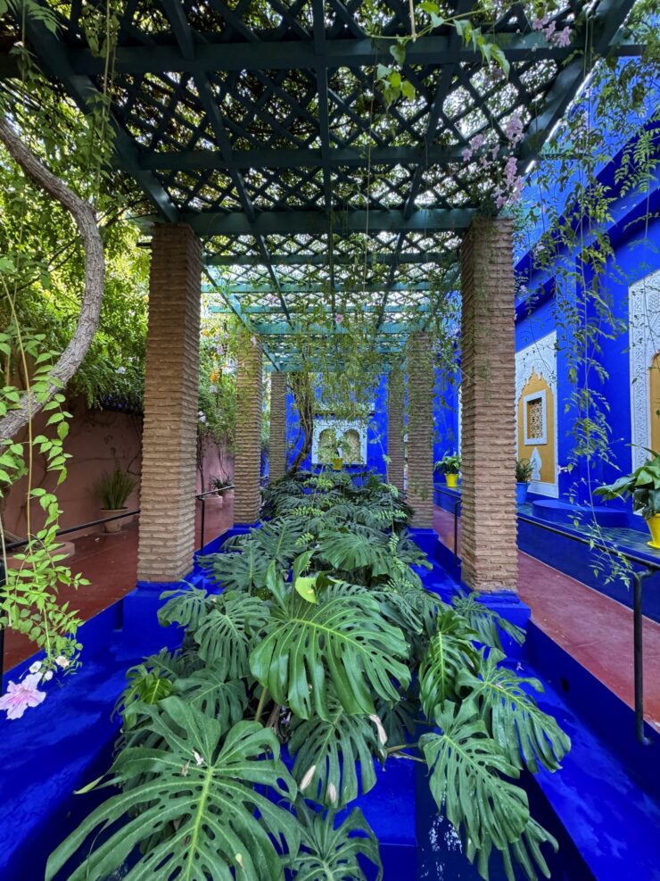 Jardin Majorelle Marrakech Morocco