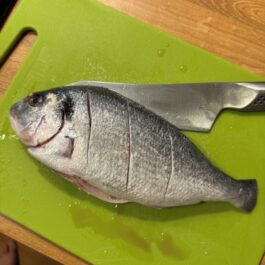 Dorada Sea Bream with cuts down the side.