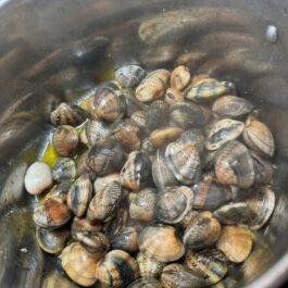 Clams in steamed clams in garlic cilantro white wine sauce; Portuguese Bulhao Pato