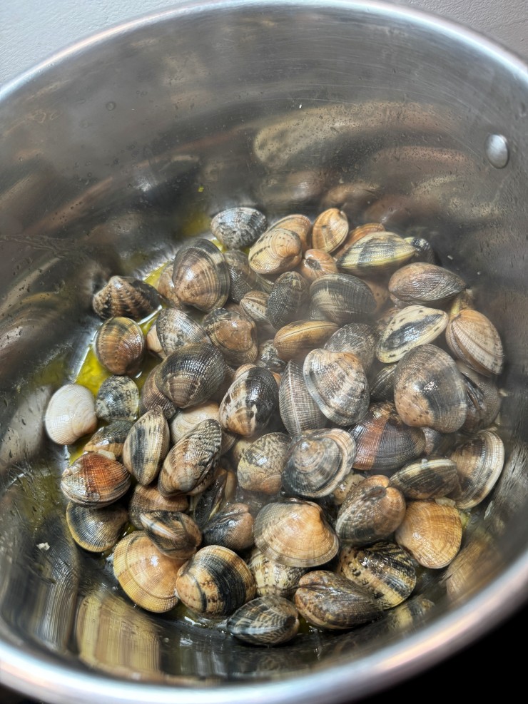 Clams in steamed clams in garlic cilantro white wine sauce; Portuguese Bulhao Pato