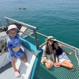 Setúbal, Portugal: A Coastal City Full of Surprises - Savour the Trip: here a dolphin breaks the surface on a Dolphin Bay Setubal dolphin watching excursion.