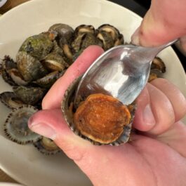 Preparing limpets; using a spoon we can pry the limpet from the shell.